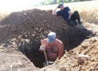 Начальник отдела Шацков А.Ю ,контралирует проведение работ  по закладке почвенного разреза.