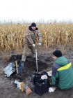 Начальник отдела Шацков А.Ю. и гл.агрохимик Кудинов Д.Г. ,обследуют орошаемые участки на предмет засоления.